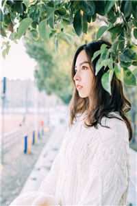 全文爱意成碑