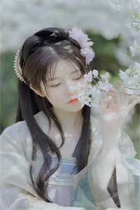 十年大雾散尽，终成空全文免费