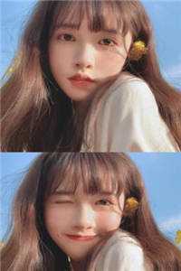 迟冬不赴春+结局+番外免费阅读无删减全文