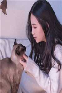 找了三年的金丝雀你别跑 免费前言+后续