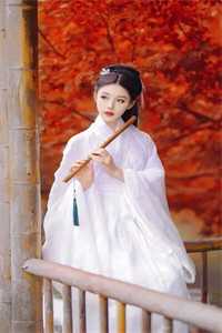 我决定不再爱他后，他后悔了全文+番茄