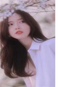 我决定不再爱他后，他后悔了全文+后续