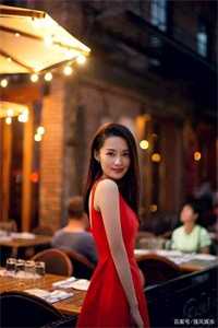 多情却似总无情试读