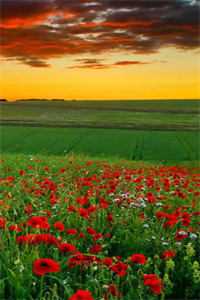 有怨报怨，我是黄泉摆渡人的主角是