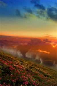 重回七零，我踹了老婆一心高考完结文