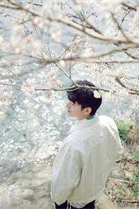 改嫁摄政王，我复仇虐渣妹骆宁萧怀沣在线阅读免费阅读完整版小说