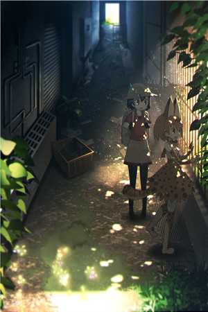 南方若知我意谢瑶裴瑾南全本免费在线阅读