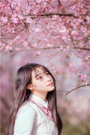 暮暮情深皆默然沈聿风纪青语精彩小说完本小说下载