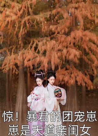 微风轻拂又见你陆沉林书意完结版免费阅读完整版txt在线阅读