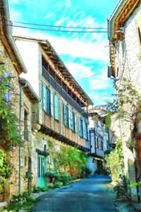 老公为了小绿茶抛妻弃女，我反手让他成为乞丐陈安之陈敏全集在线阅读小说无删减