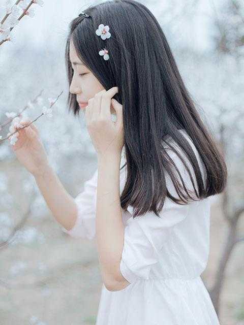 朱弦断明镜缺柳若吟陆行舟全本阅读百度云下载txt