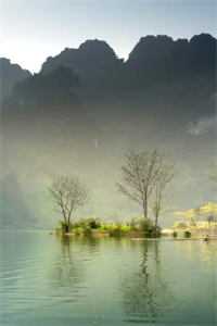 踹掉前夫后，我为他生了五个弟弟箫乾周婉儿免费小说在线阅读最新章节