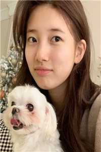 青丝绾相思陆轩程远全章节在线阅读