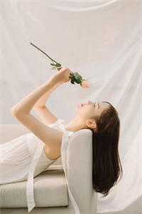 长叹雁归难留顾裴延江照璃完结版免费在线阅读