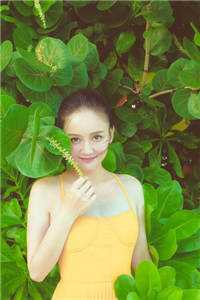 不属于海的风唐栖雾靳沉野全文免费阅读无弹窗大结局