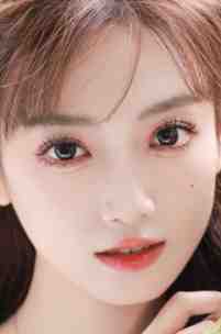 总裁，你这辈子就放过我吧林雨柔陈路最新章节免费在线阅读