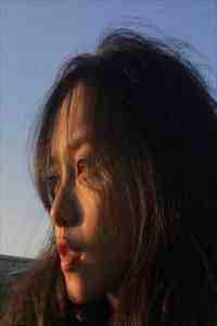 北雁终未越南山程向北季南溪完结版免费阅读全本在线