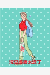 爱也沧沧，恨也沧沧宋南乔贺景川免费小说在线阅读全集完结版免费阅读