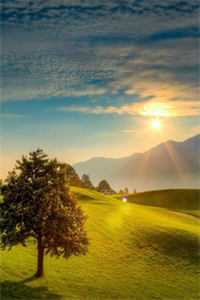 为替小三出气，老公儿子将我爸妈送去变活人魔术傅景城温玥小说在线免费阅读无广告